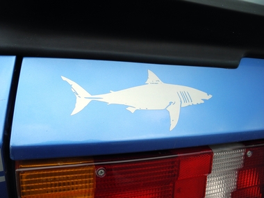 Mako 3.0 Haifisch - Shark